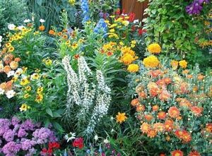 Цветы и огород в саду