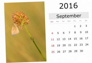 Календарь огородника на сентябрь 2016