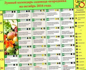 Календарь садовода и огородника на октябрь 2016