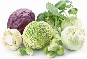 Капуста белокочанная: полезные свойства популярного овоща