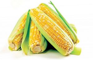 Кукуруза: и полезна, и вкусна!