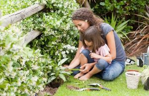 Огород для детей — чем занять ребенка?