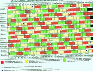 Посев семян и высадка рассады по лунному календарю в 2016 году