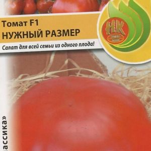 Сорта томатов для средней полосы россии: мой многолетний опыт