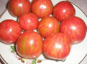 Сорта томатов с необычной окраской и формой плодов