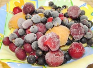 Сушка и заморозка плодов и ягод