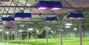 Светодиодный светильник для растений - преимущества, сборка и установка