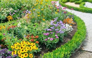 Высокорослые цветы для сада: правила выращивания + подборка лучших сортов